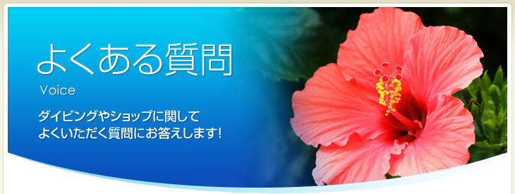 よくある質問～ダイビングやショップに関してよくいただく質問にお答えします！